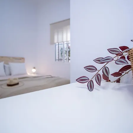 Apartamento Antona De Dios Apartamento Jerez de la Frontera