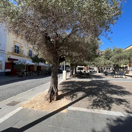 Apartamento Antona De Dios
