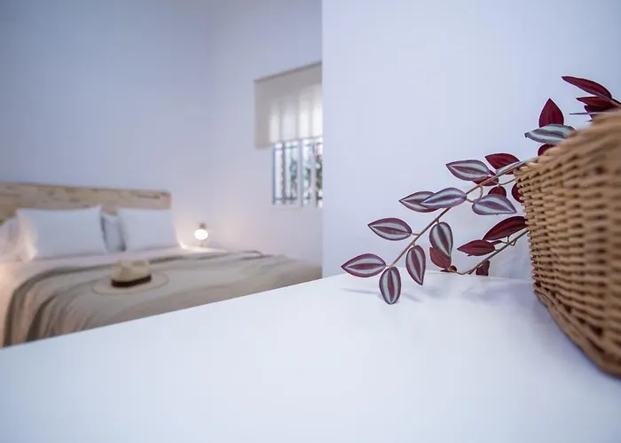 Apartamento Antona De Dios Apartman Jerez de la Frontera